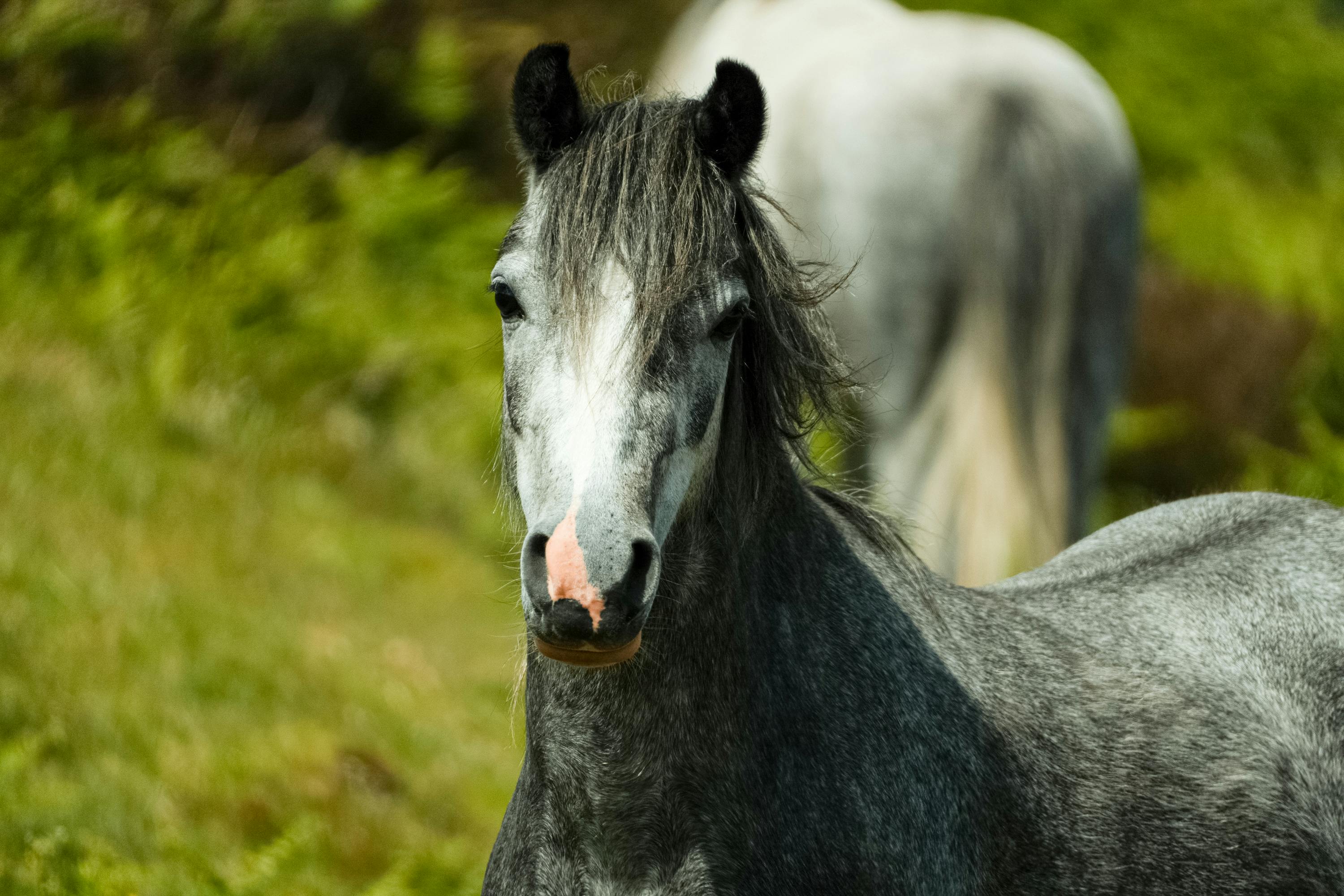 Hawkwright Trailhead