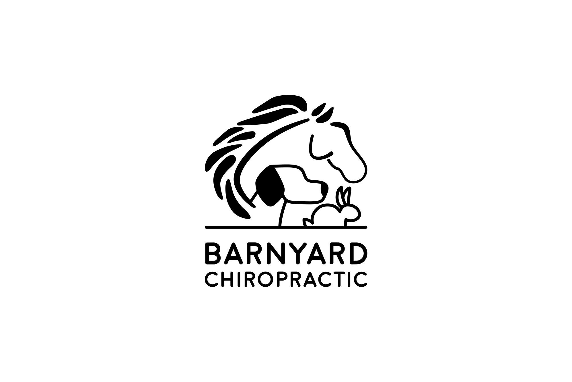 Barnyard Chiropractic
