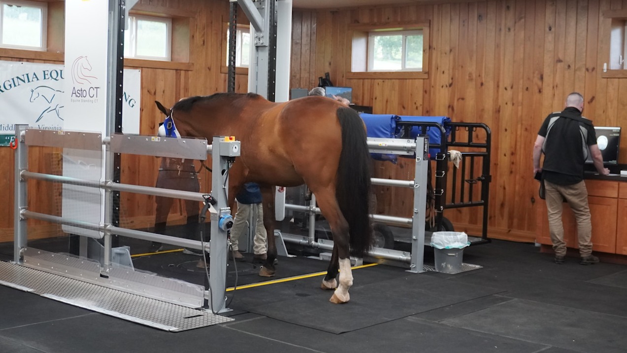 Virginia Equine Imaging