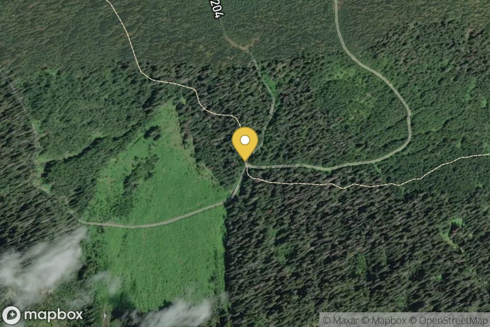 Upper West Fork Humptulips Trailhead