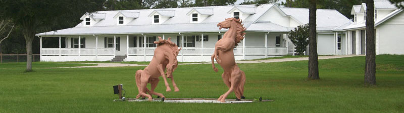 Flying B Ranch