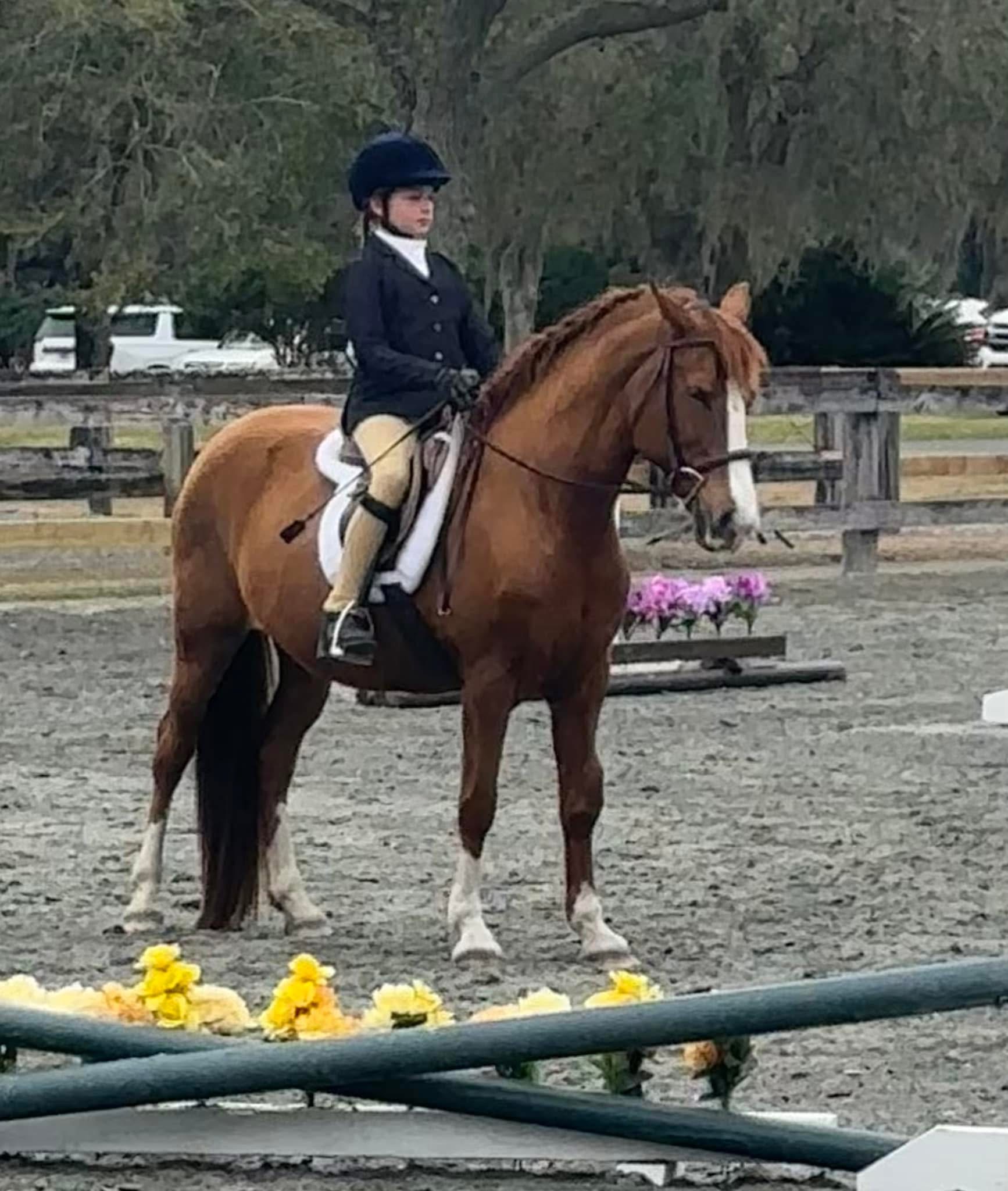 Golden Isles Riding Academy