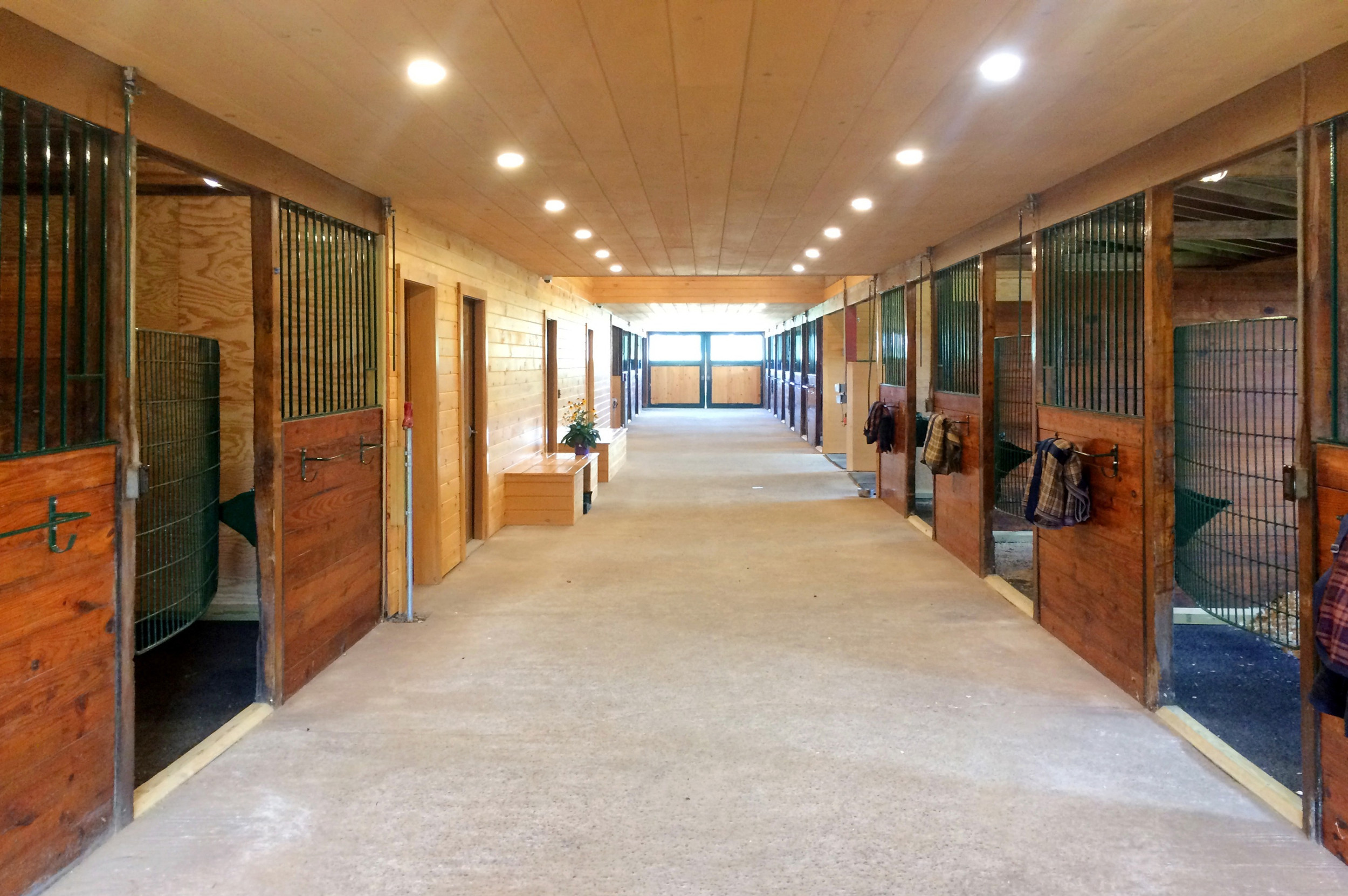 Durham Equestrian