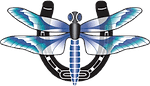 Dragonfly Equestrian Center