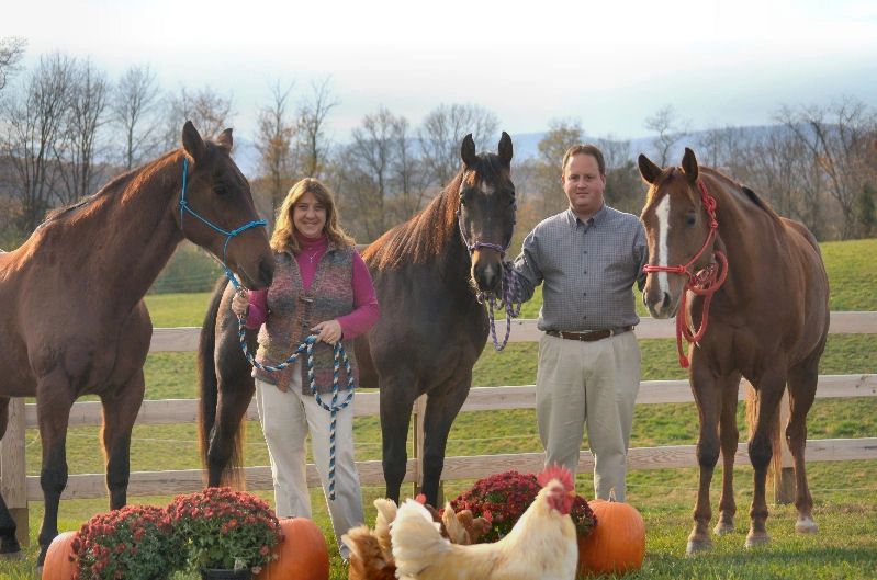 GemStone Stable