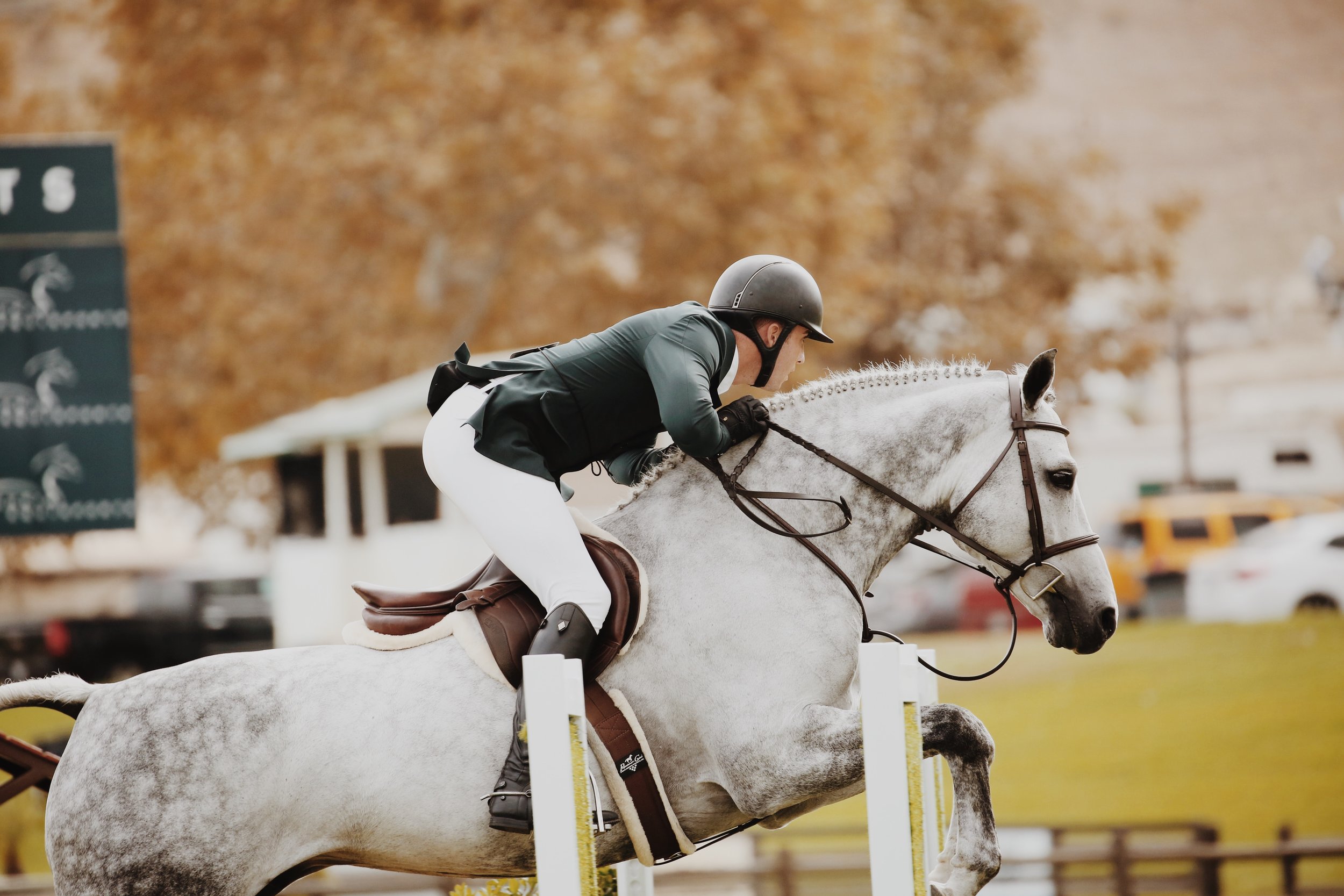 Equine Blvd Horse Hotel