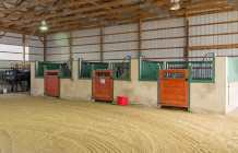Golden Moon Farm