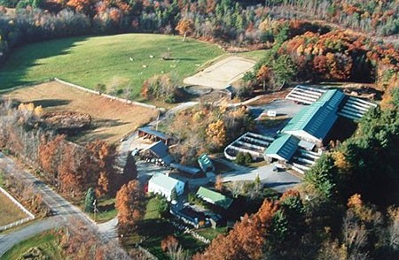 Riley's Farm