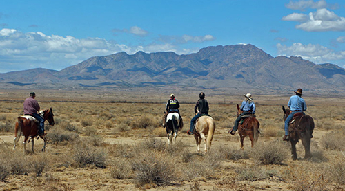 Kiva RV Park and Horse Motel