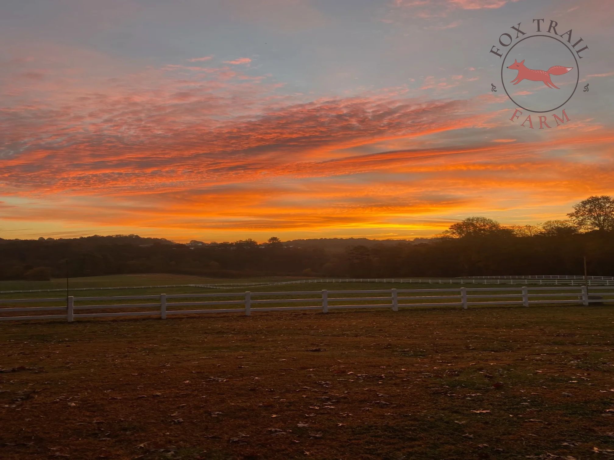 Fox Trail Farm
