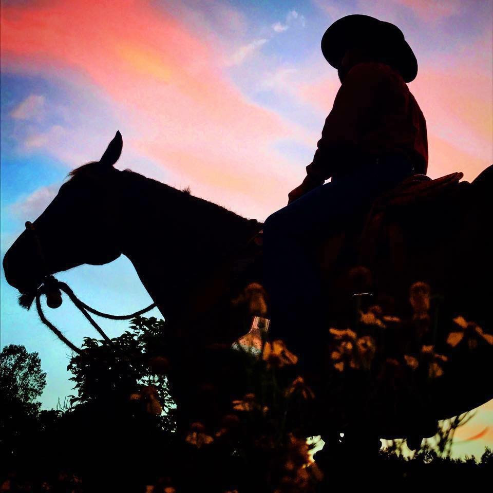 Cavvietta Quarter Horse & Cattle Co.