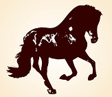 Mt Airy Horse Stables