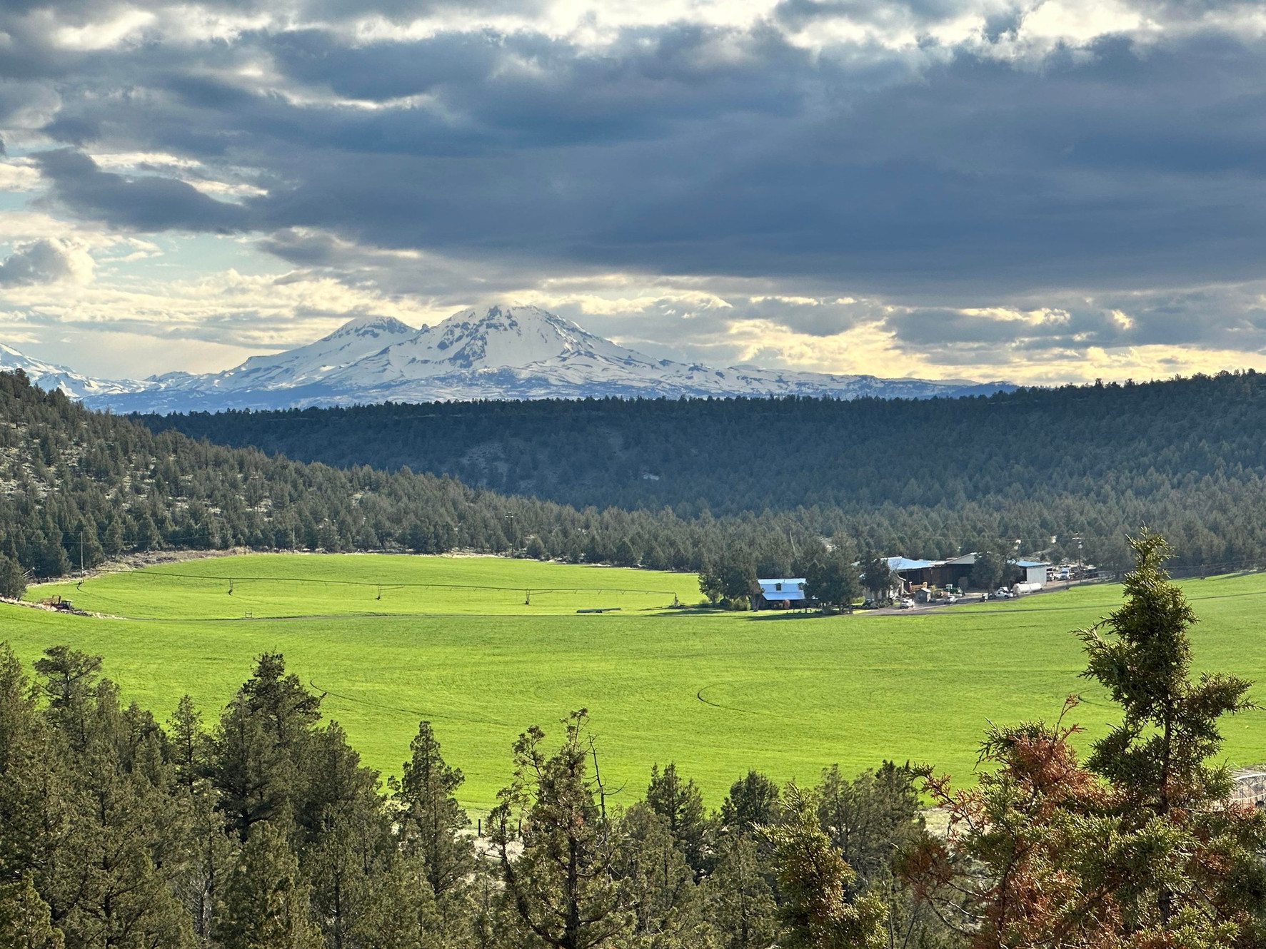 Jacobs Farms