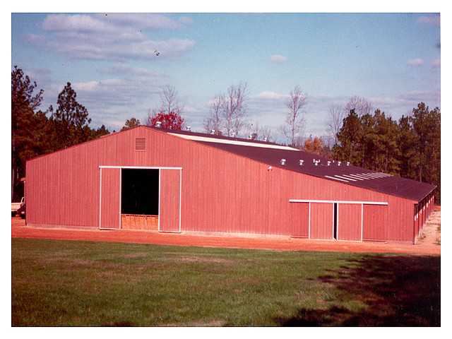 PJ Williams Company
