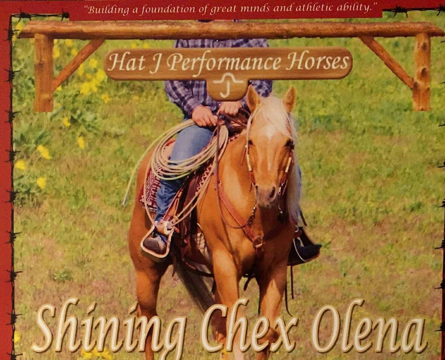 Hat J Performance Horses and Boarding