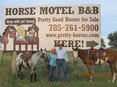PRETTY-HORSES.com