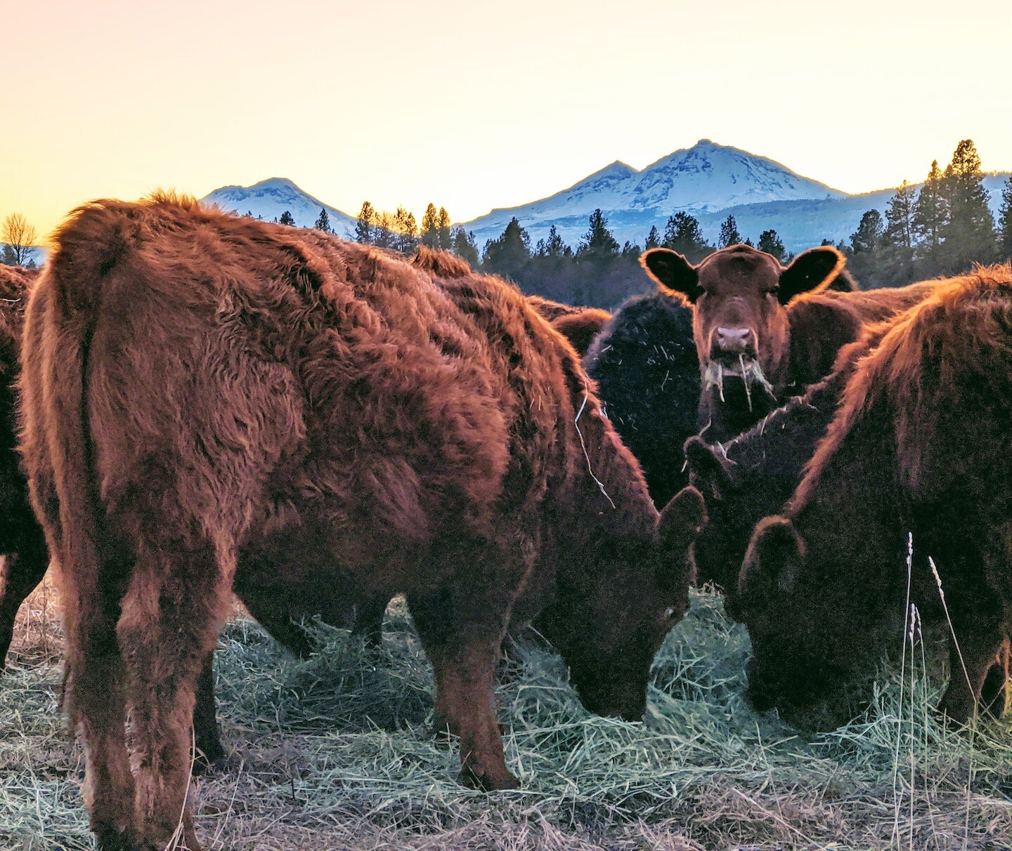 Pole Creek Ranch