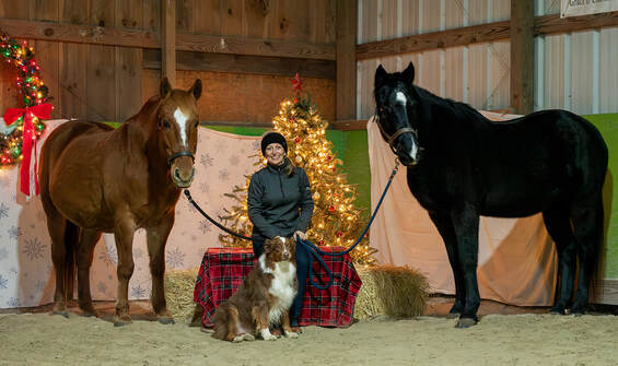 Yellow Horse Equine Therapeutic Riding Program
