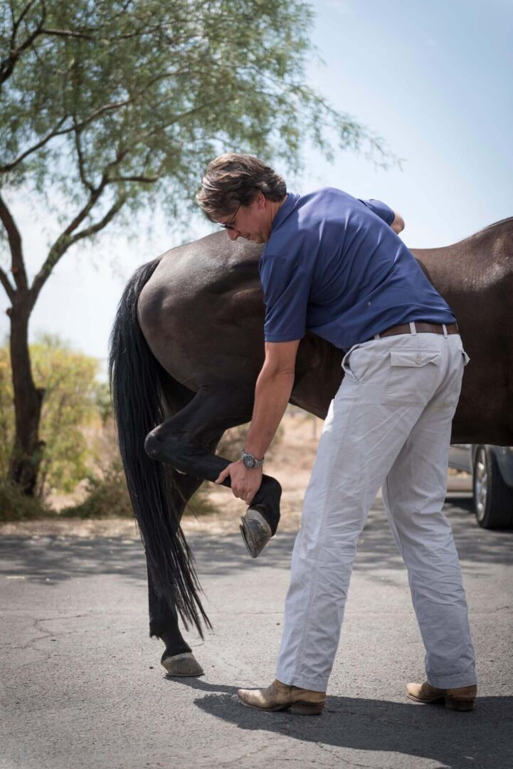 Cave Creek Equine® Sports Medicine & Surgery