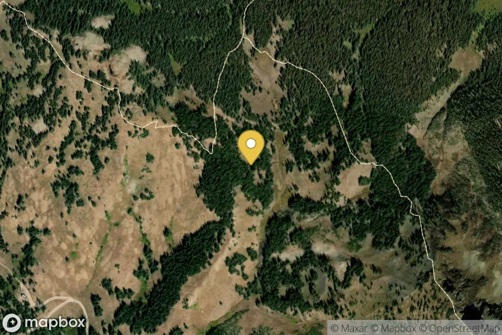 Washington Gulch #403