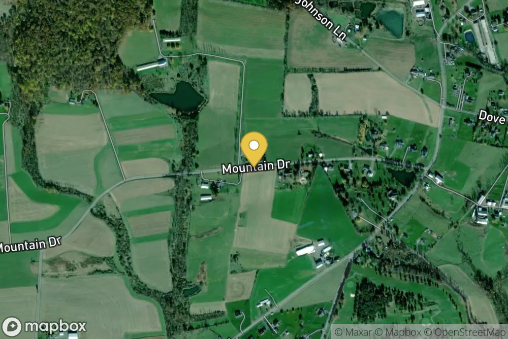 MountainStead Farm