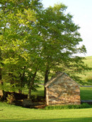Shady Spring Farm