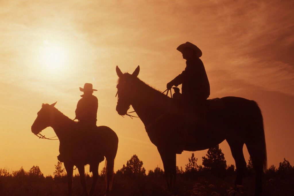 TC Horse Camp