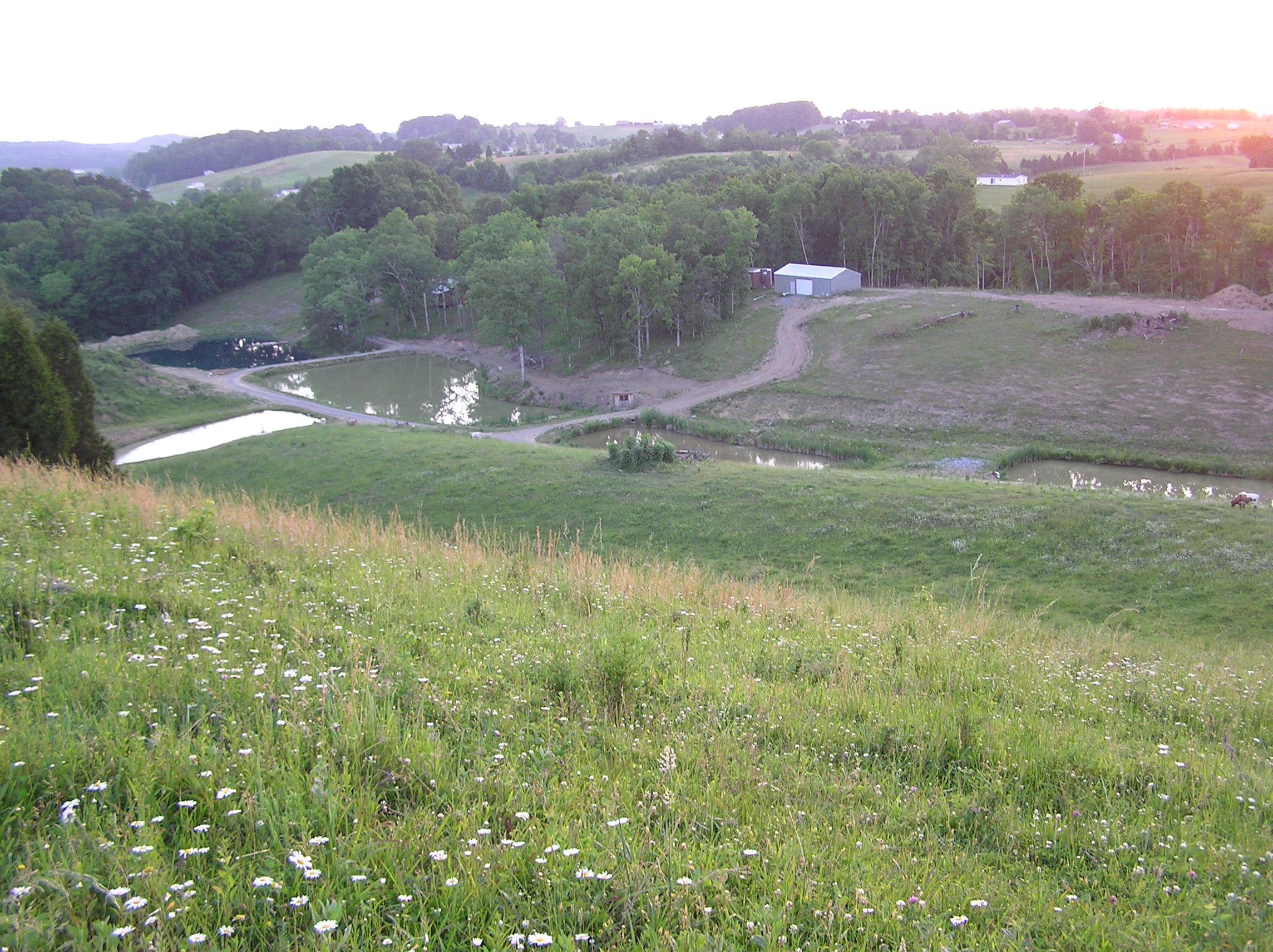 McMillan Farms, PAMELA CRICK