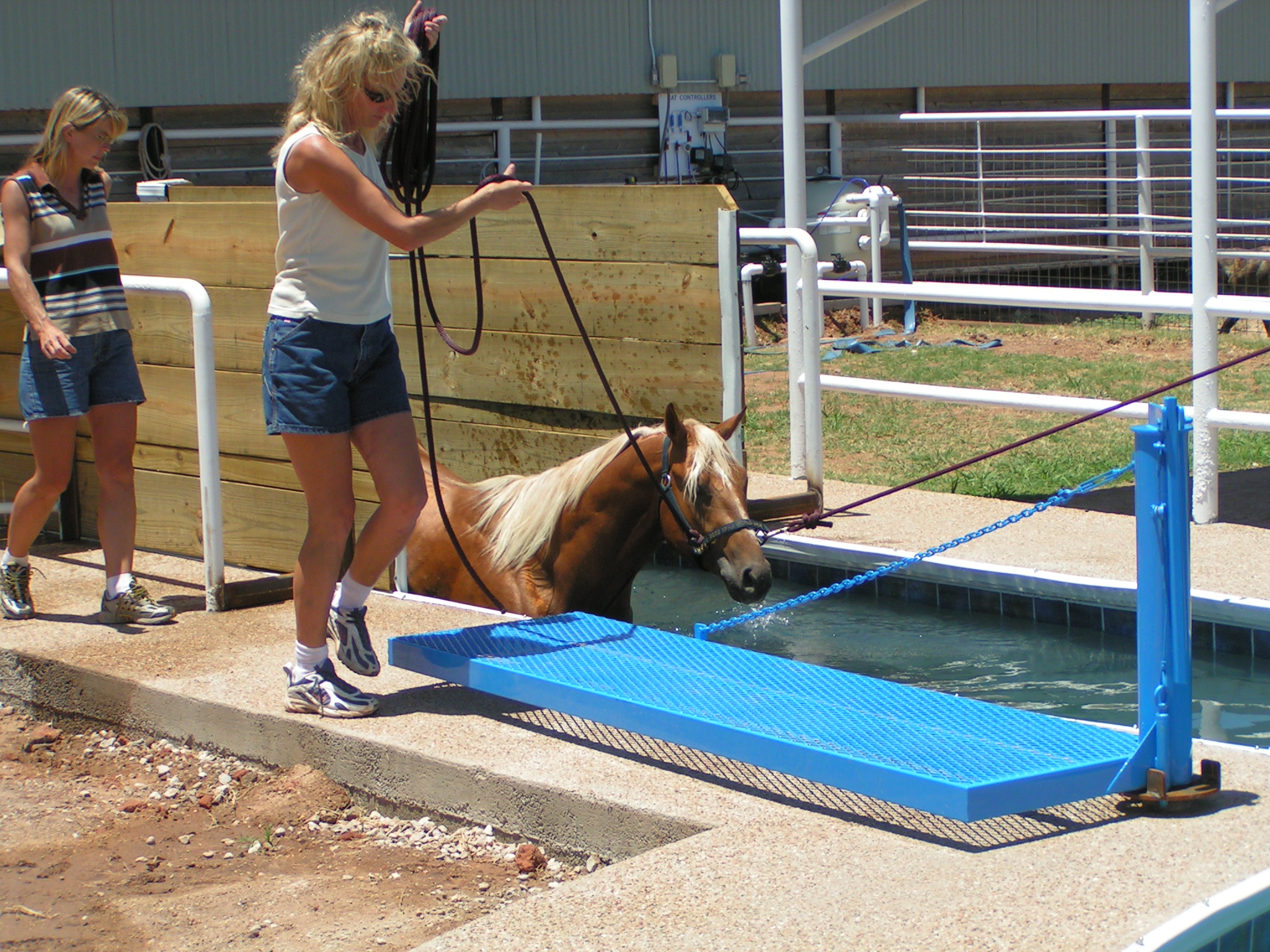 Lone Star Stables