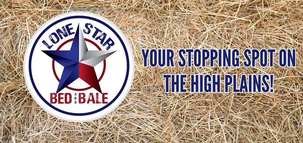 Lone Star Bed & Bale