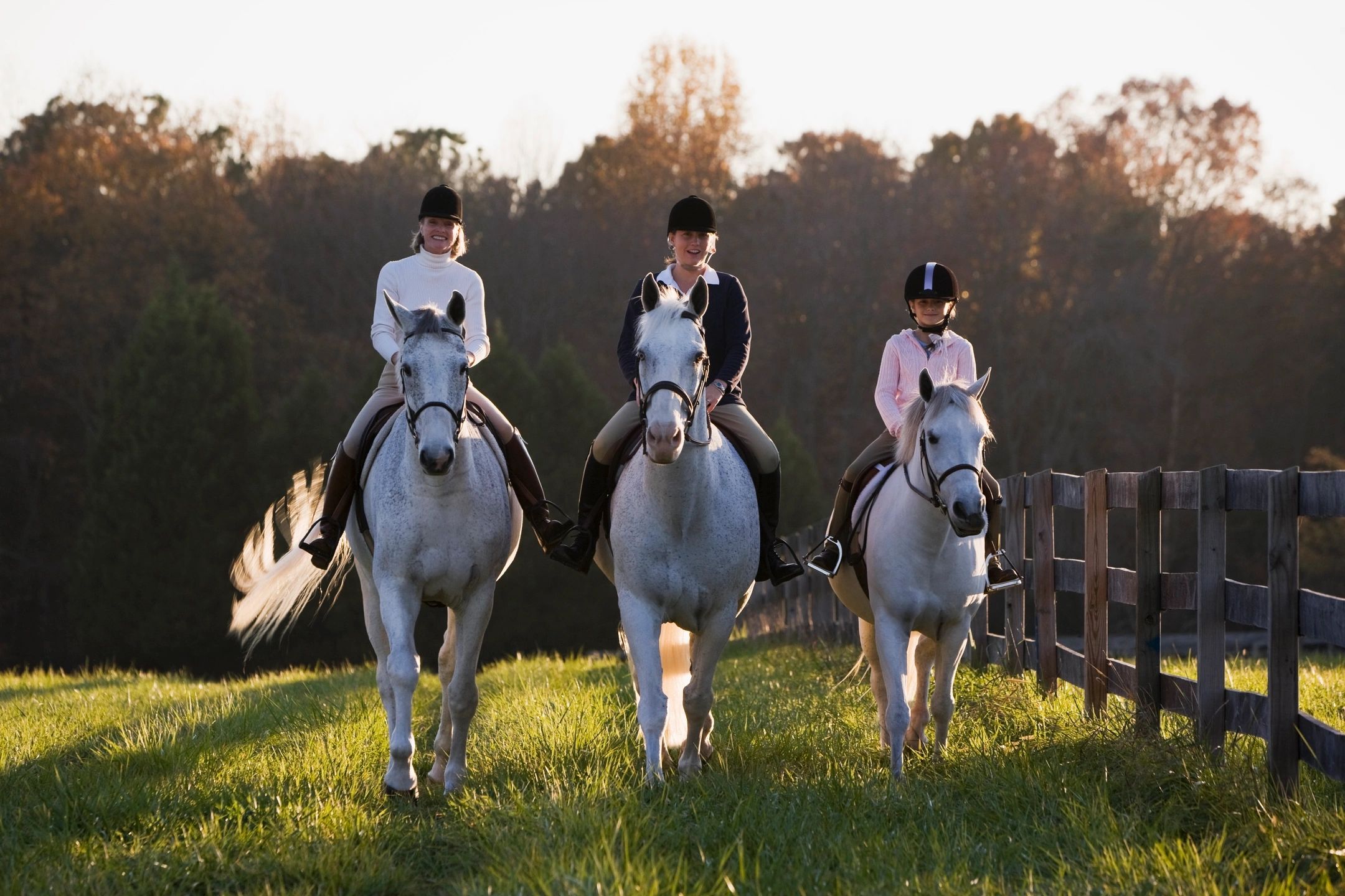 Snowdonia Sport Horse Complex