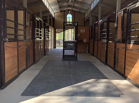 Peach Creek Sporthorses, Inc.