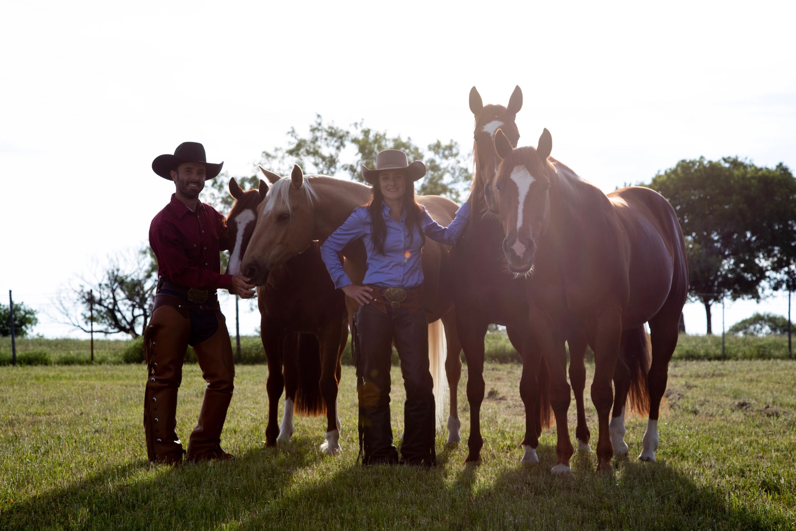 Horse Hotel