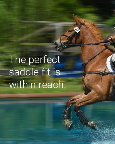 Dynamic Equine Saddle Fitting