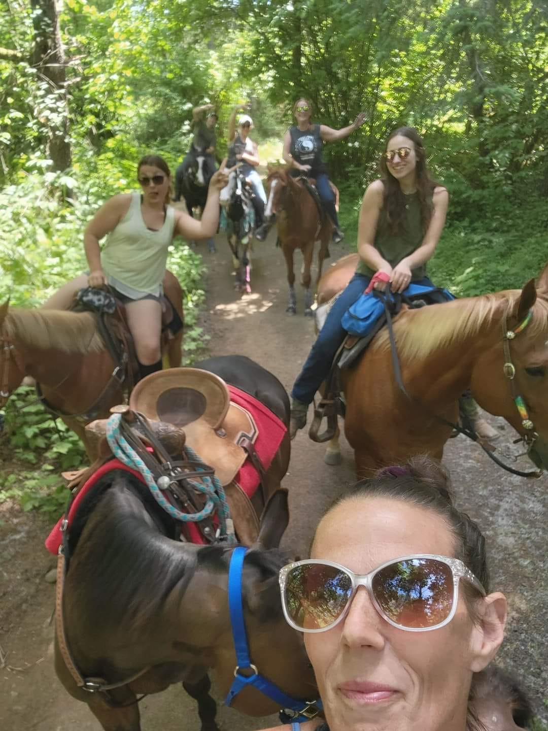 Holcomb Hills Equestrian