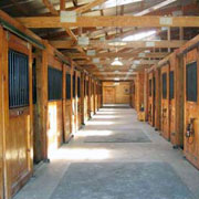 Spring Willow Farm