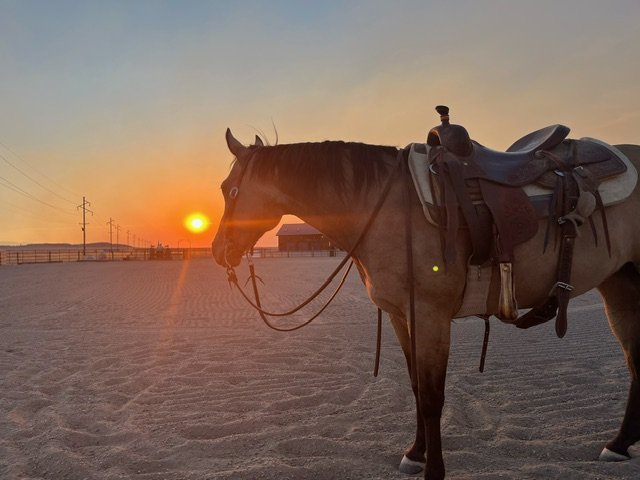 Paradise S Ranch