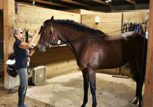 Silver Spur Ranch