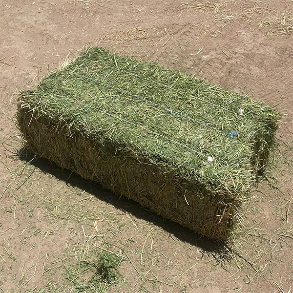 Tucson Hay