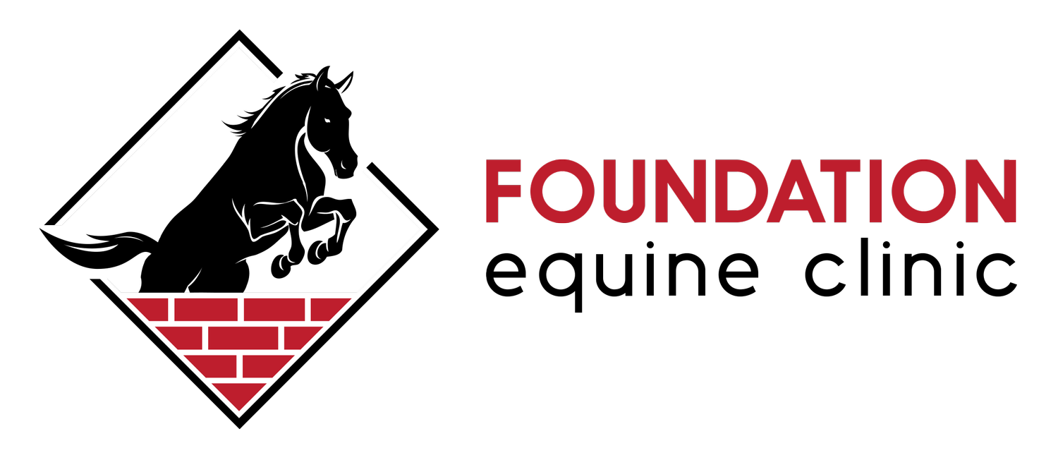 Foundation Equine Clinic