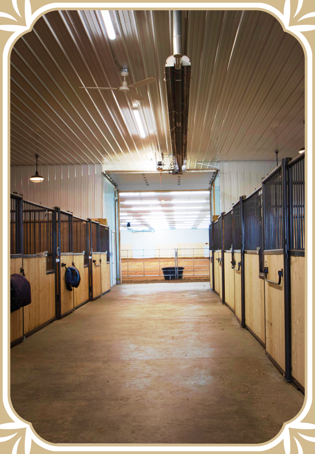 Sky High Ranch