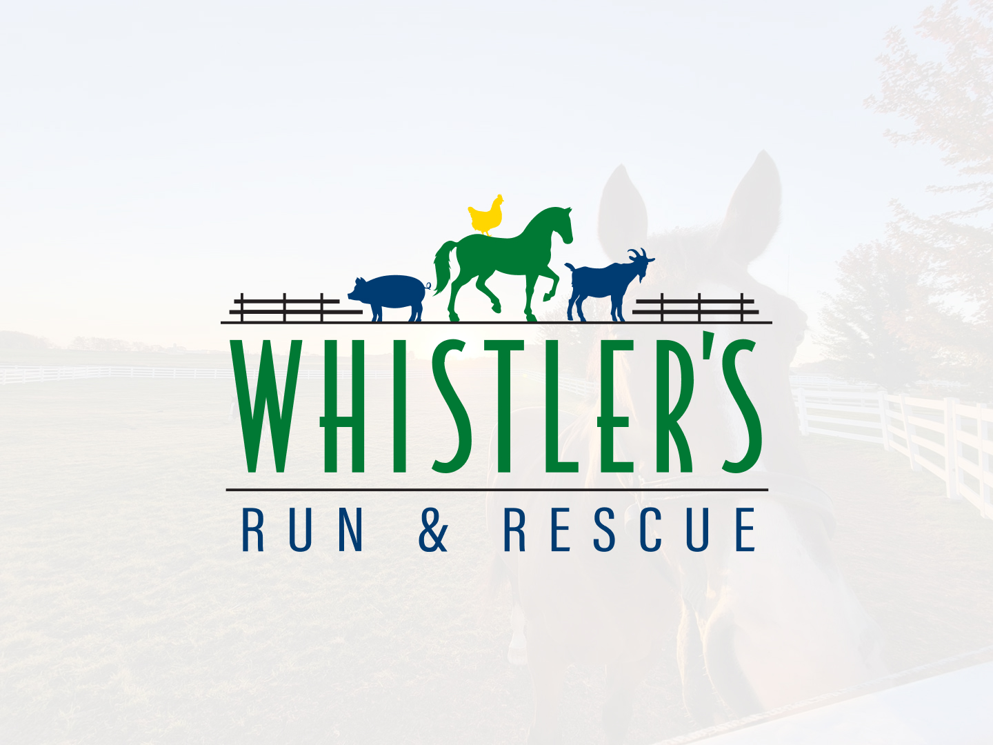 Whistler's Run & Rescue