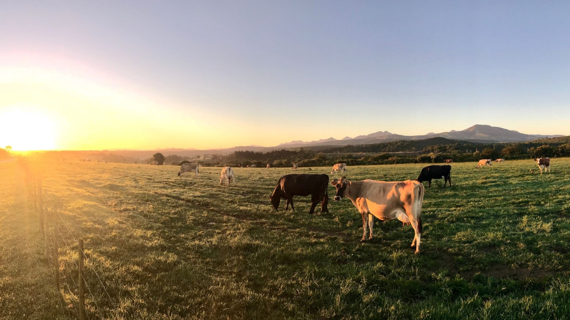 North Bay Farm Veterinary Services