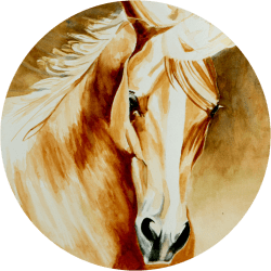 Cornerstone Equine Medical Services
