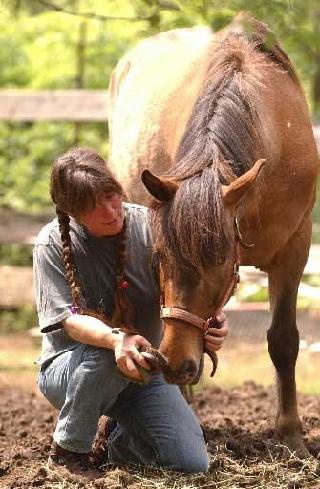 Horse Play