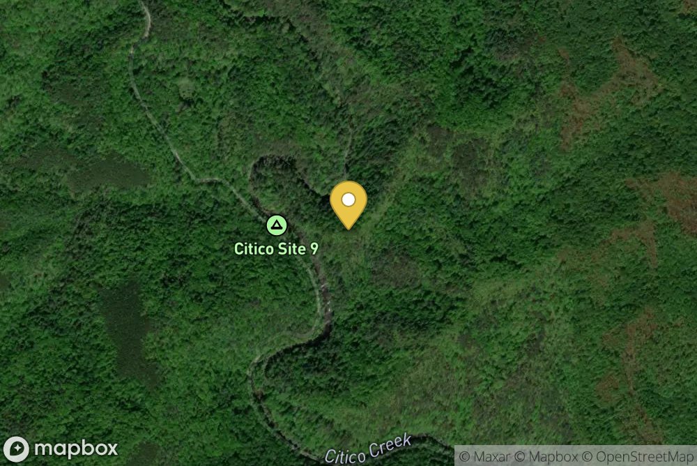 Citico Creek Area