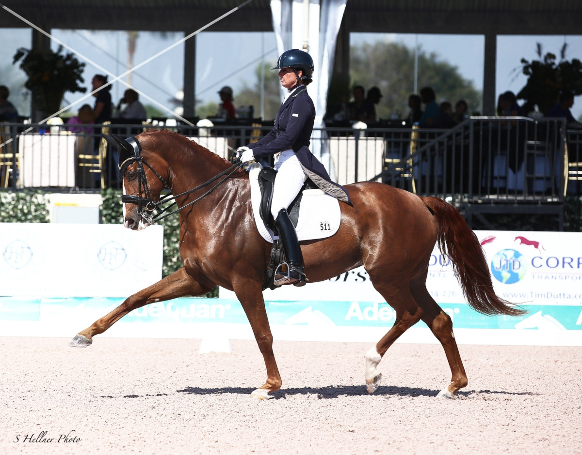 Karen Lipp Dressage & Stal810