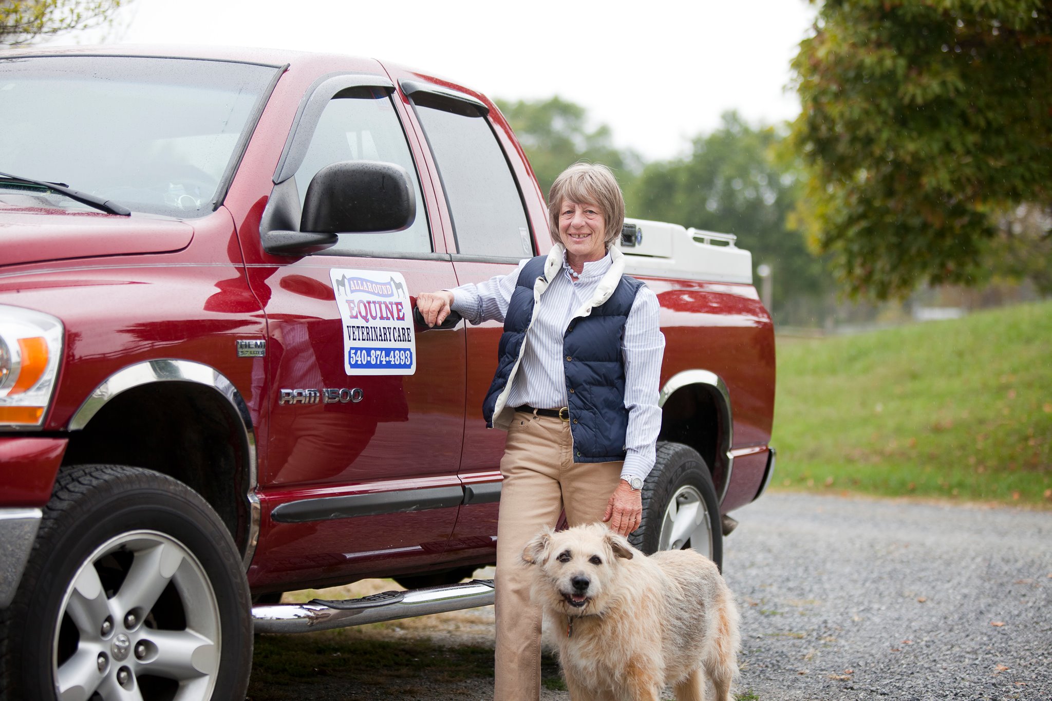 All Around Equine Veterinary Care