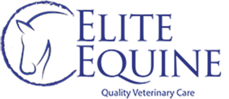 Elite Equine