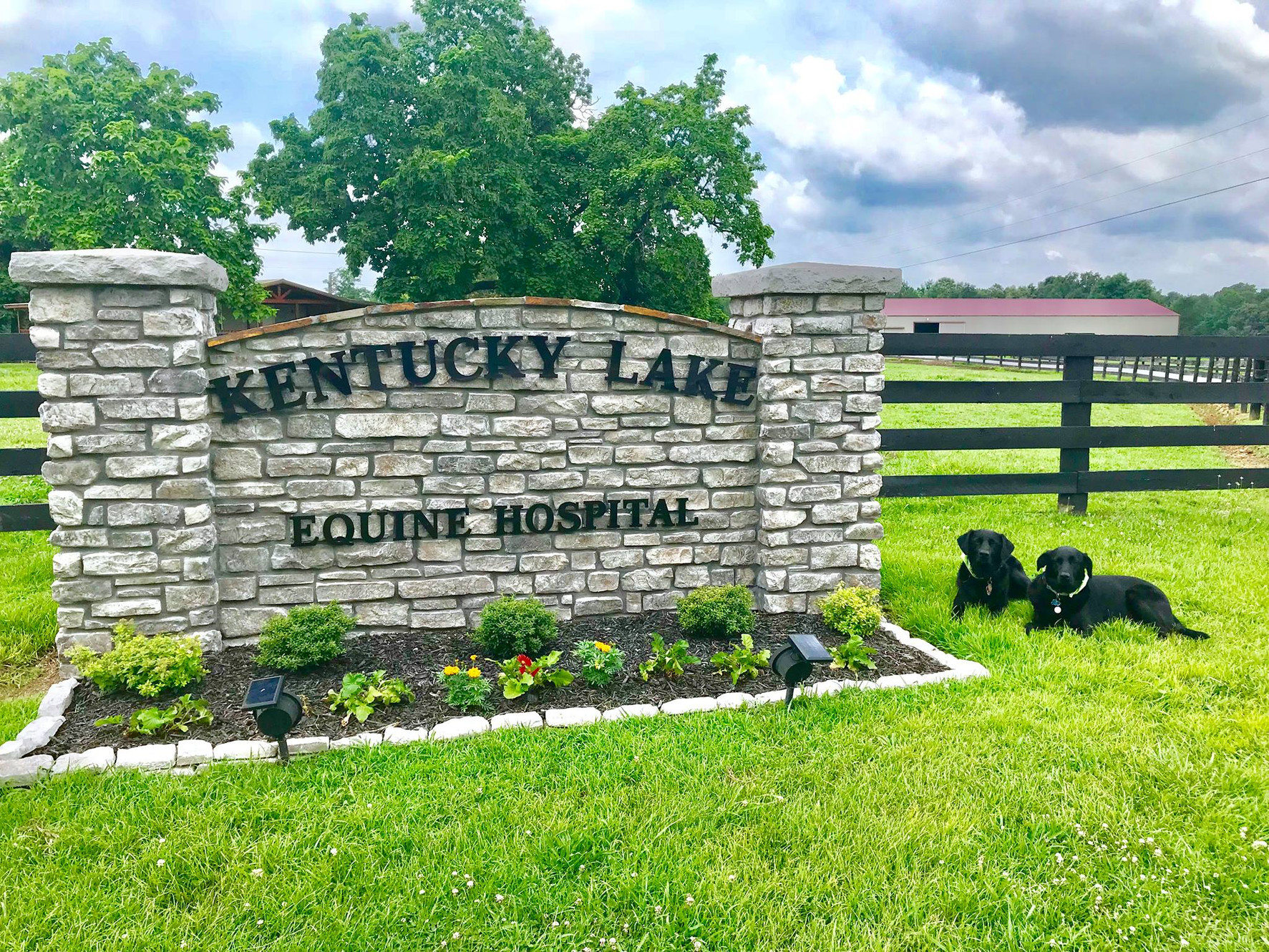 Kentucky Lake Equine Hospital